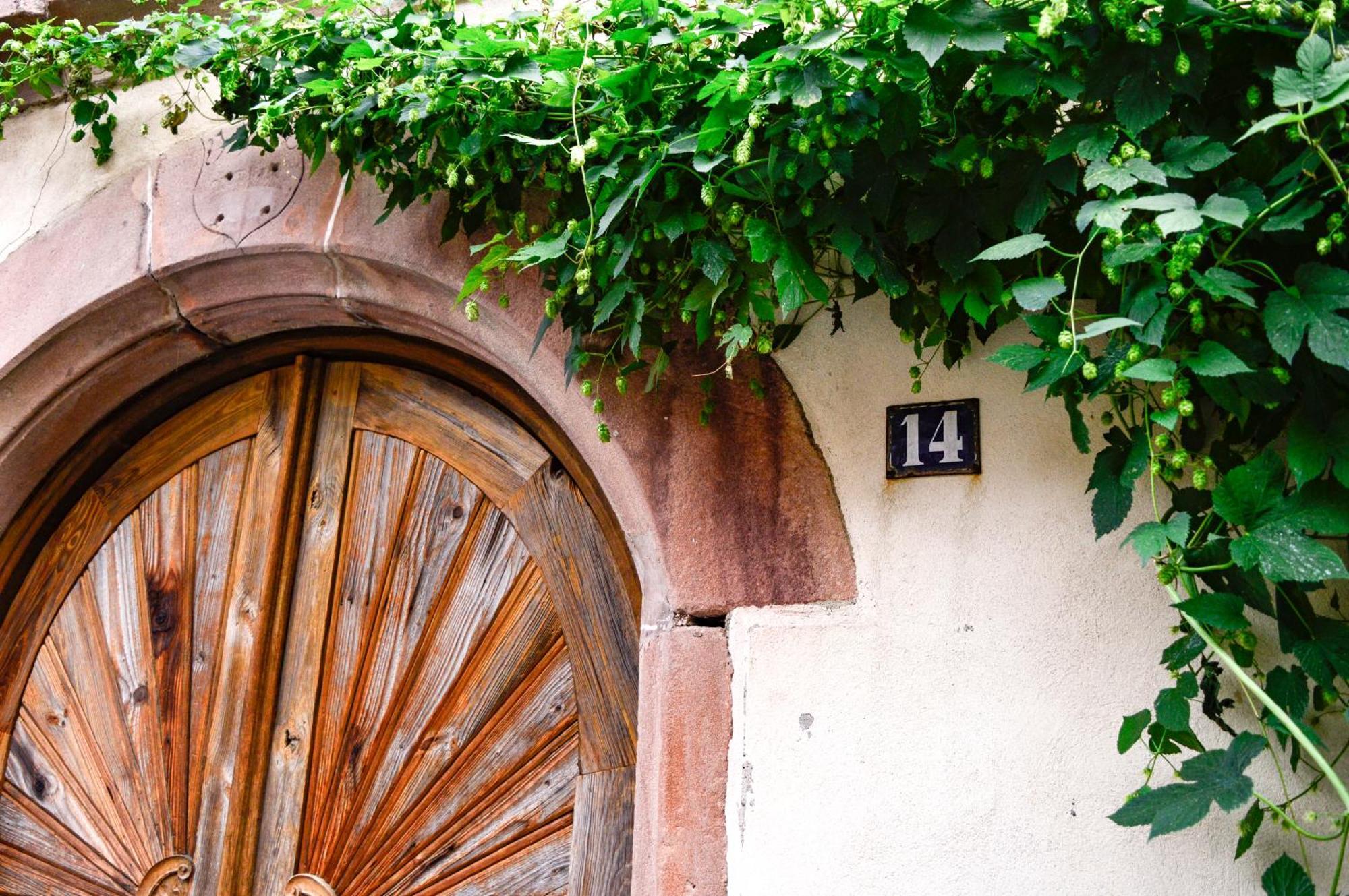 Apartament Chaud'Vin Kaysersberg-Vignoble Zewnętrze zdjęcie